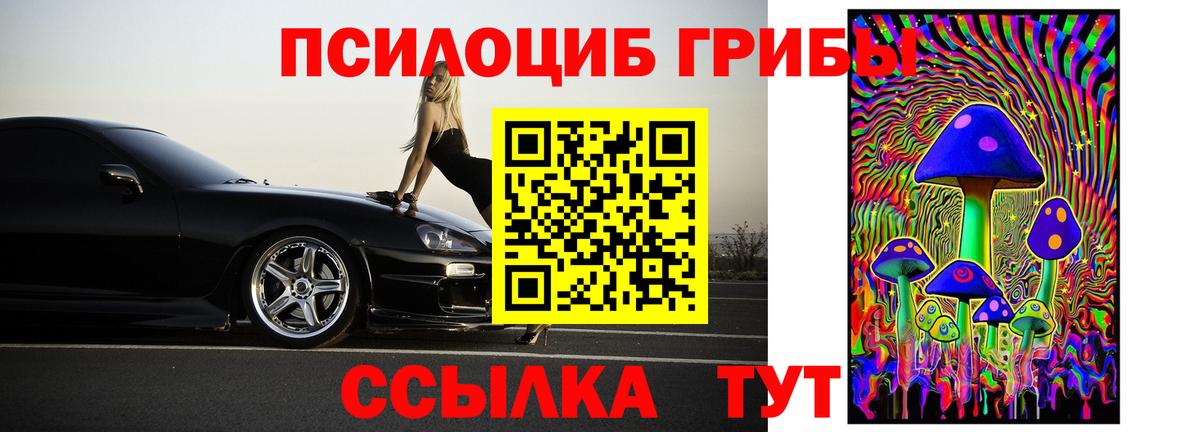 Псилоцибиновые грибы Cubensis Каменск-Уральский